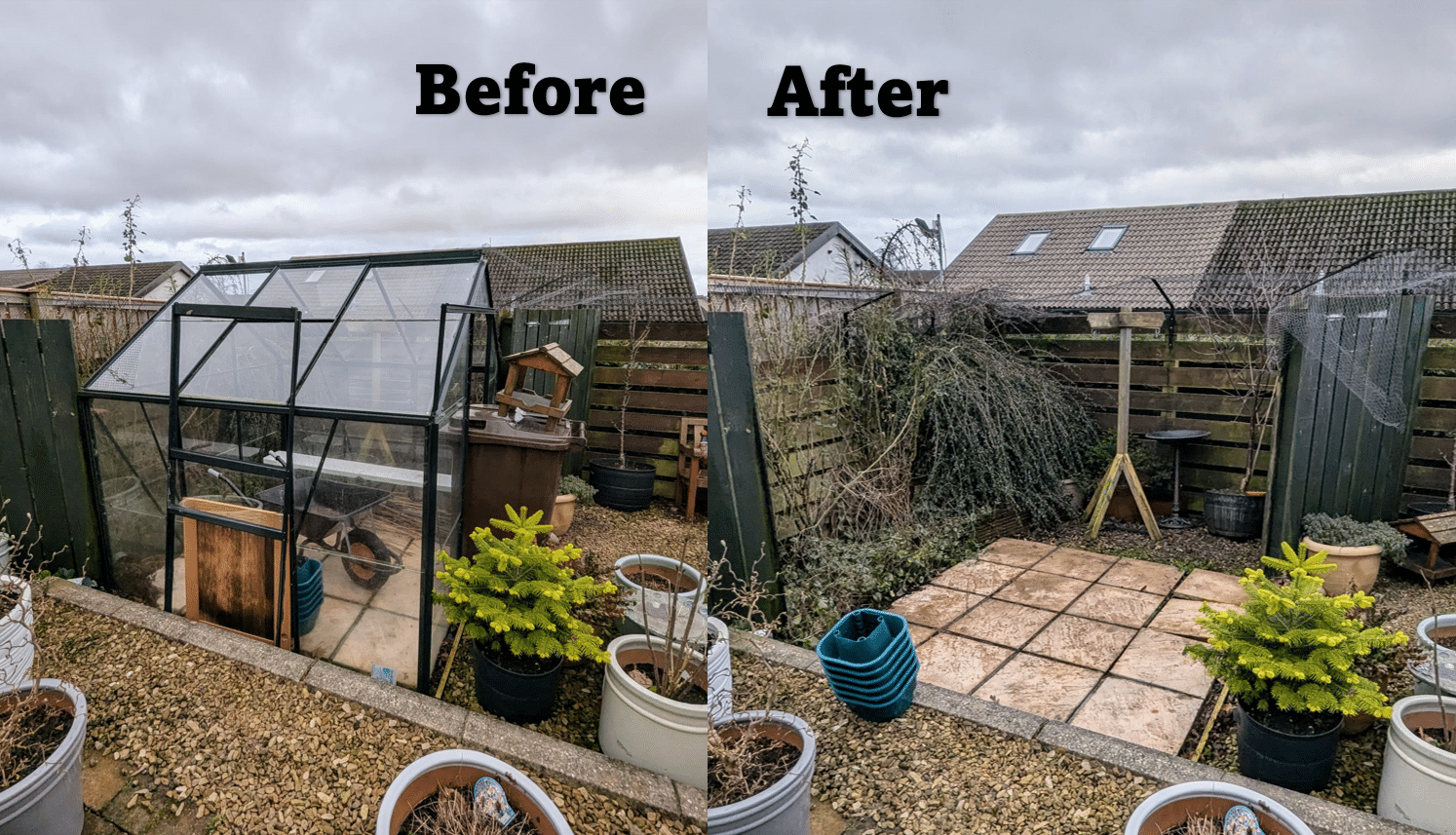 a greenhouse in a backyard-Greenhouse Removal Before and After-Junk-It-Scotland